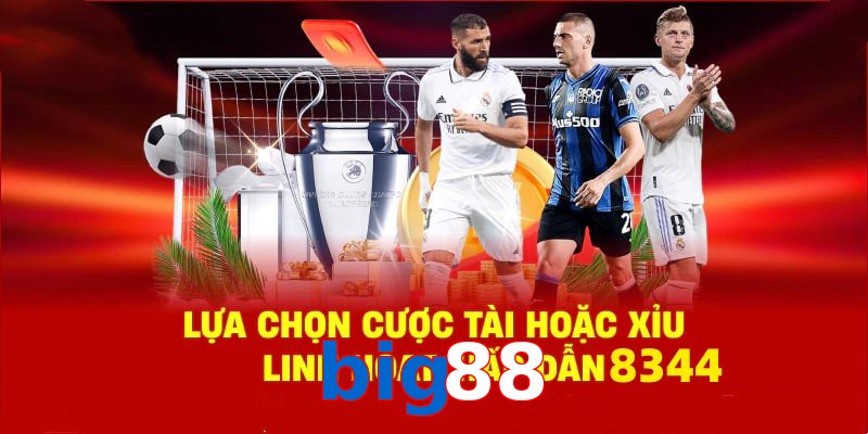 Danh mục đa dạng, đoán chuẩn là nhận tiền