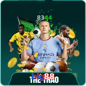 the-thao-big88