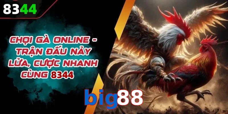 Đá gà big88 có rất nhiều ưu điểm vượt trội so với sân chơi khác