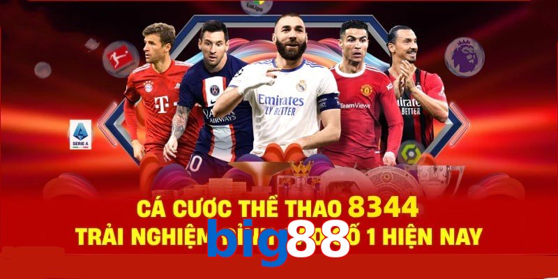 Đá Gà Philippines – Tinh Hoa Truyền Thống Và Thể Thao 